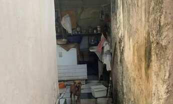 Imagem 7: Casa bairro paraíso