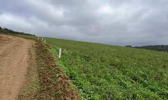 Imagem 4: Terreno em Cotia para formar sua futura chácara. Ótimo para quem busca investir e valoriza
