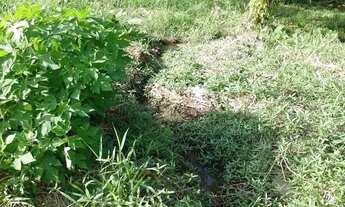 Imagem 6: REF. 294 Á venda terreno no bairro Ratones, Florianópolis/SC