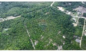 Imagem 5: Terreno à Venda Ramal Cláudio Mesquita (KM 3 da BR-174