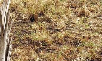 Imagem 2: Terreno Terreno / lote com venda por R$14.999