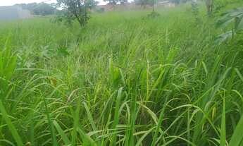 Imagem: Imóvel para venda com 995 metros quadrados