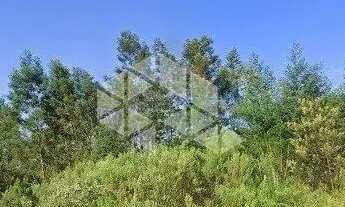 Imagem 6: Terreno de esquina à venda no Bairro Diamantino, Caxias do Sul