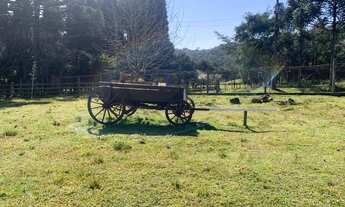 Imagem 5: Sitio - Bairro Tapera