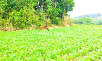 Imagem 7: Chácara em Avenida Independência - Campina das Pedras - area rural - Araucária/PR