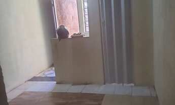 Imagem 5: Aluga se kit net independente Lageado