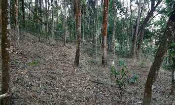 Imagem 5: Lote em Macacos, condomínio Ecoville 2