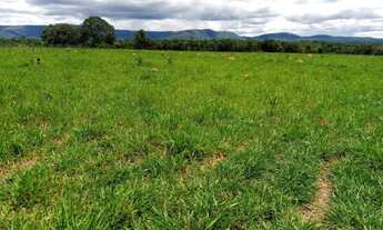 Imagem 5: Fazenda Extra 151 Alqueires - Dupla Aptidão!