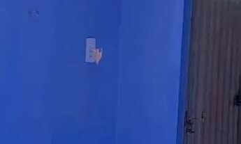 Imagem 7: Casa grande no Tapanã