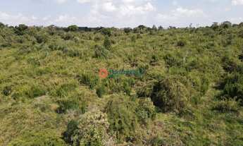Imagem 2: Fazenda de 140 Alqueires . Mecaniza 79 Alqueires - Pinhão PR . R$ 7.000.000,00