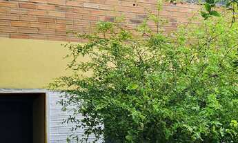 Imagem 6: CASA CASTELO BRANCO!