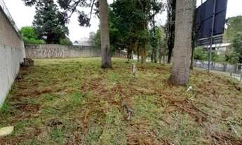 Imagem 4: Esquina comercial na Candido Hartmann - próximo Tuiuti e Parque Barigui