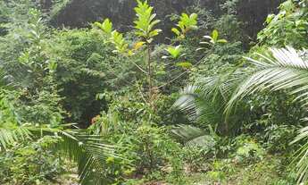 Imagem 4: Terreno para venda 10x50