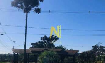 Imagem 4: Terreno à venda, 263 m² por R$ 350.000,00 - Jardim Montecatini - Londrina/PR