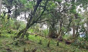 Imagem 5: Urubici- Serra Catarinense - Sitio 20.000 m²
