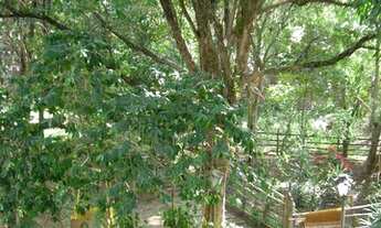 Imagem 4: TERRENO EM ÓTIMA LOCALIZAÇÃO NO TREMEMBÉ, AV MARIA AMÁLIA, SÃO 1.100 m ² DE ÁREA