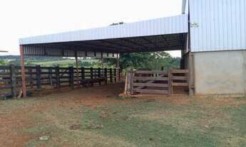 Imagem 5: Chácara de 18 hectares. com Córrego. 28 km de Campo Grande