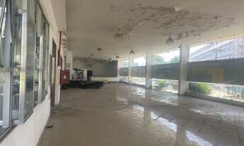 Imagem 4: VENDO TERRENO 11.300 m2