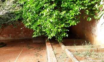 Imagem 3: Casa comercial com ampla área externa