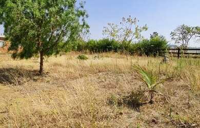 Imagem 4: Rodeador brazlandia chácara 8.000m2 com casa simples 3 quartos suíte 300m do asfalto