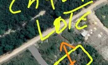 Imagem 2: Terreno chácara 1000m² em Taiobeiras