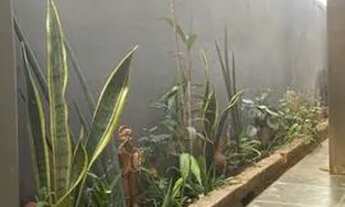 Imagem: Alugo quarto para moça