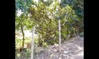 Imagem: VENDO TERRENO