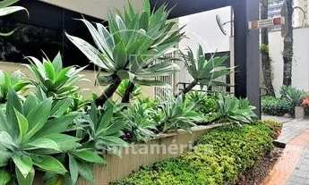 Imagem 3: LONDRINA - Padrão - Centro