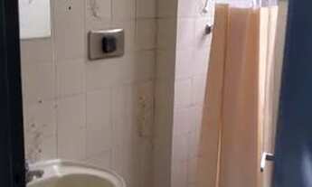 Imagem 4: Ótimo apartamento 03 quartos - Valqueire