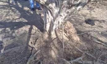 Imagem 7: Lote/Terreno para venda com 600 metros quadrados em Centro - Igaratá - SP