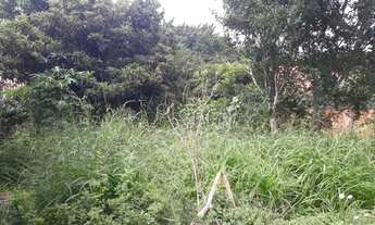 Imagem 5: Terreno - Parque da Figueira - Campinas