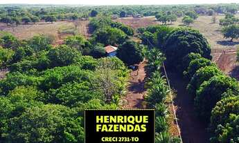 Imagem 7: Fazenda plana perto de Palmas barro vermelho