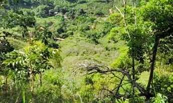 Imagem 2: Terra no panorama