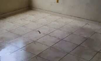 Imagem 4: Vendo casa 2 quartos no melhor bairro de Campo Grande - oportunidade única (Leia Anúncio