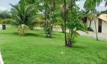 Imagem 6: Lote na etapa 1 no Fazenda Real