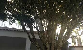 Imagem 6: Casa-São Paulo-JARDIM EUROPA