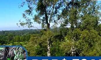 Imagem 6: De R$ 69.900 Por R$ 49.900 Sítio De 4.300 Metros Com Vista Panorâmica!. 1IR3TD3