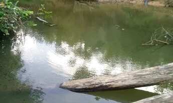 Imagem: Vendo uma colônia de 632 hectares, com