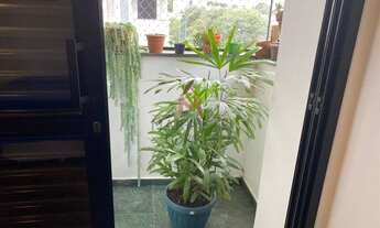 Imagem 6: Apartamento para venda tem 75 metros quadrados com 2 quartos