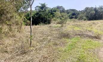 Imagem 6: Chácaras em Guapó