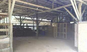 Imagem 2: Sitio 25.000 m² barbada bem estruturado