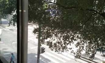 Imagem 3: Excelente apartamento de frente espaçoso