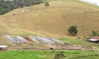 Imagem 4: 96 alqueires Tremembé sp