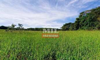 Imagem 7: Fazenda 269 alqueires ( 1, 304 hectares) Mineiros - GO