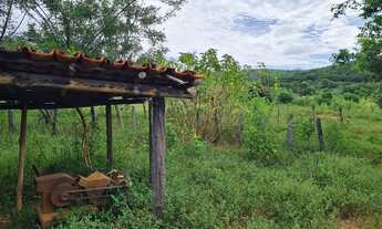 Imagem 4: Fazendinha /região MONTES CLAROS...149 Hectares!!!