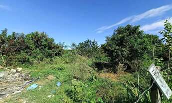 Imagem 4: Terreno à venda em Maria Joaquina
