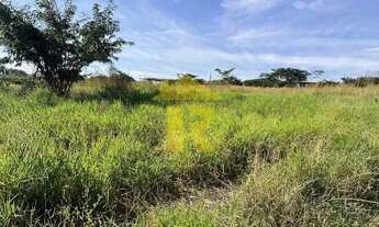 Imagem 4: TERRENO INDUSTRIAL em SÃO JOSÉ DO RIO PRETO - SP, DISTRITO INDUSTRIAL DOUTOR CARLOS ARNALD