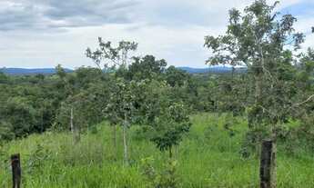 Imagem 4: Chácara a venda cocalzinho Goiás