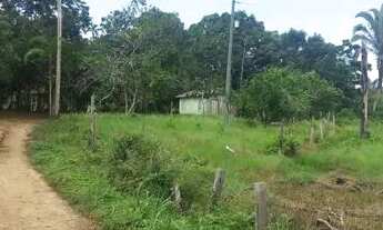 Imagem 7: Vendo Sítio Med 620.000m2 na Estrada de Autazes Km 32 em frente e comunidade Bom Jesus