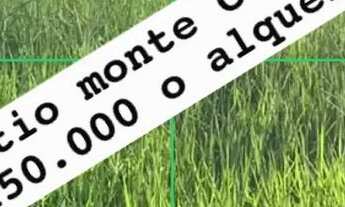 Imagem 1: Sítio monte Carmelo